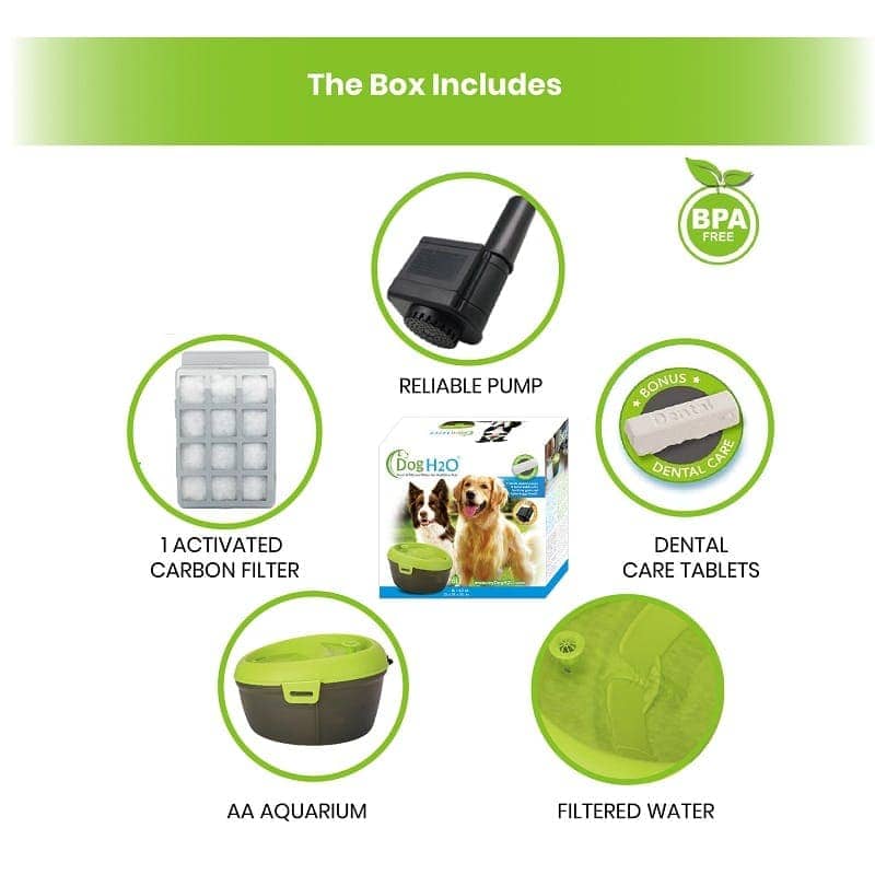 Goofy Tails Water Fountain Automatic Water Dispenser For Dogs (6L)