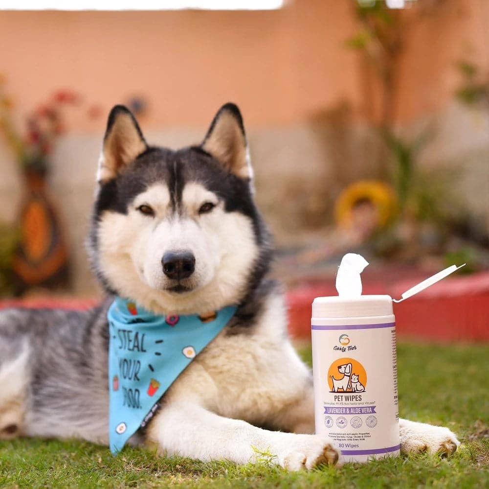 Goofy Tails Wipes for Pets