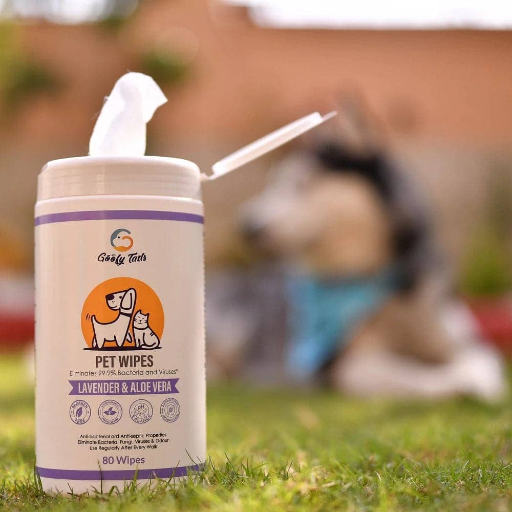 Goofy Tails Wipes for Pets