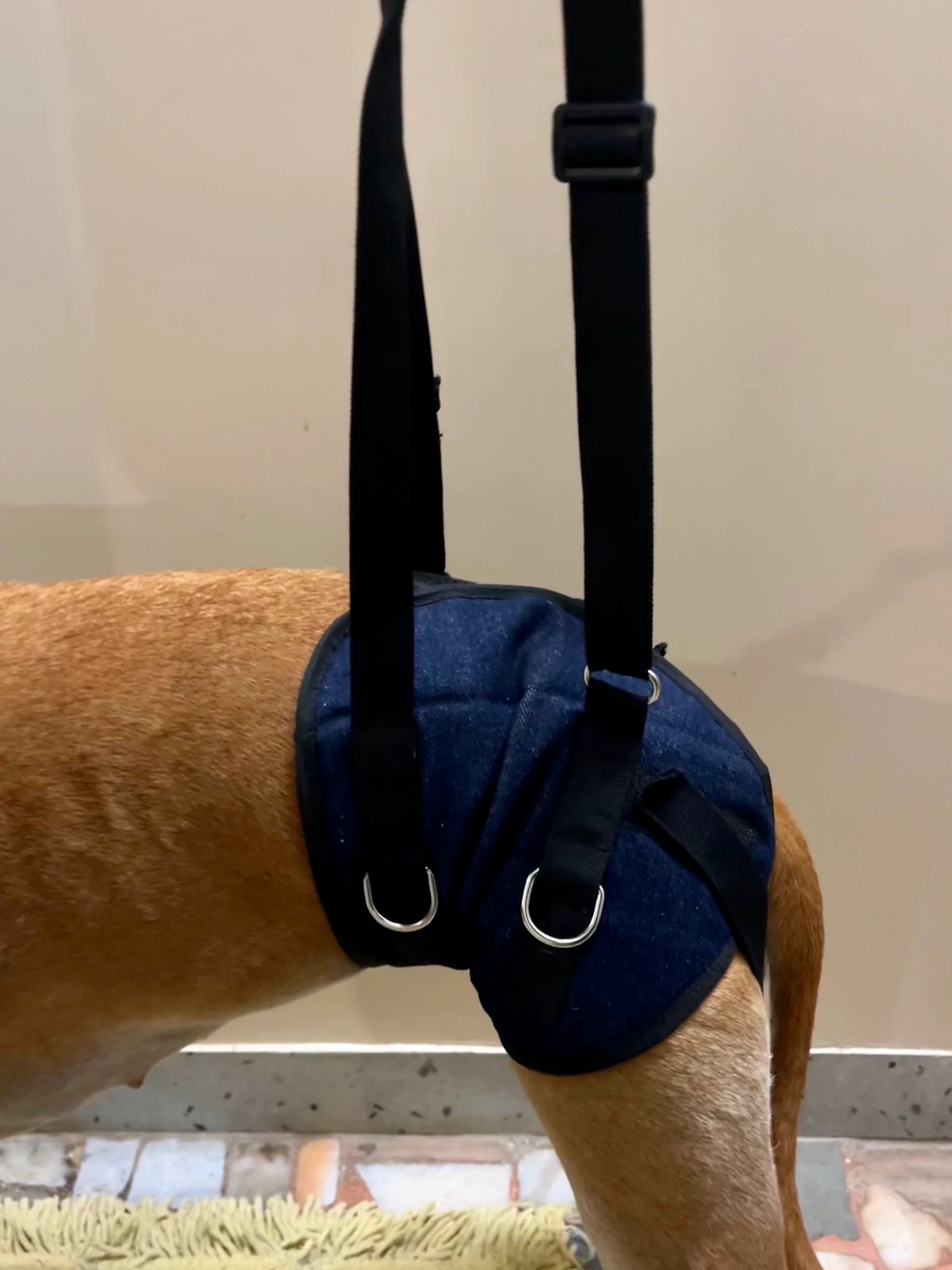 A Plus A Pets Lift Support Harness For Hind Legs for Dogs (Navy)