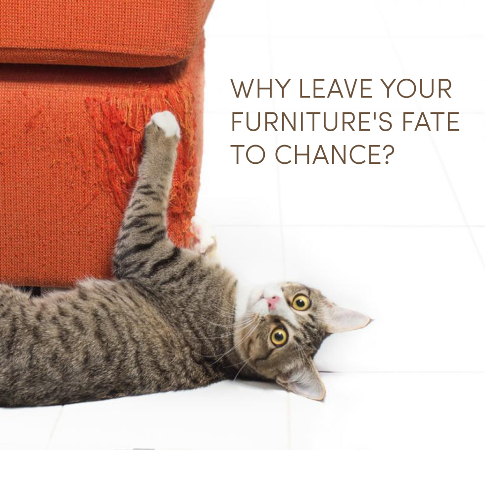 Fofos Comic House Scratcher for Cats