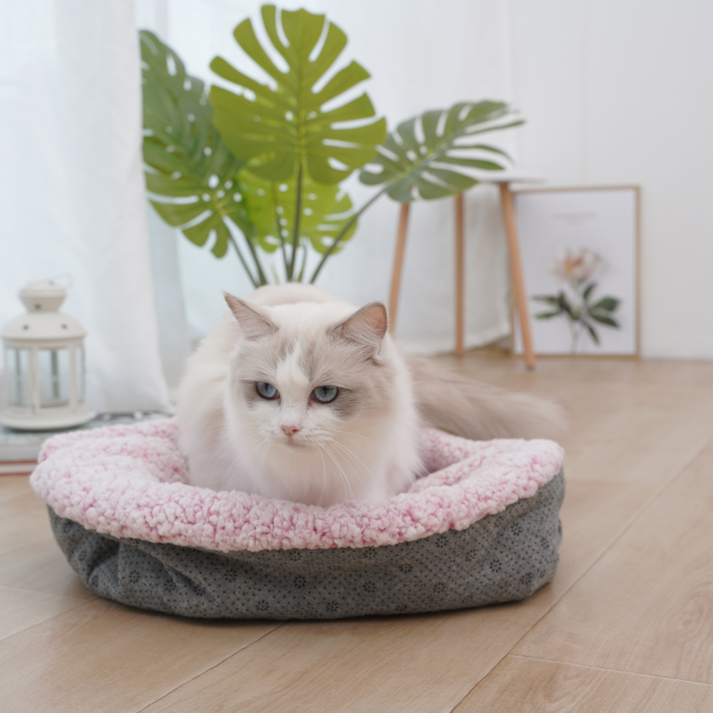 Fofos 2 In 1 Self-heating Mat for Pets