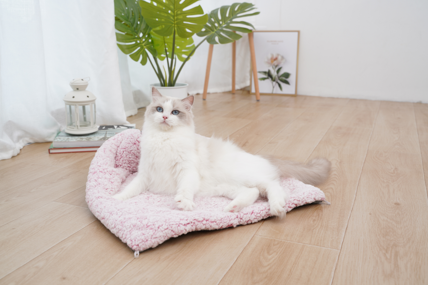 Fofos 2 In 1 Self-heating Mat for Pets