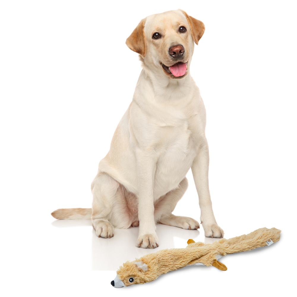 Fofos Skinneez Squirrel Toy for Dog