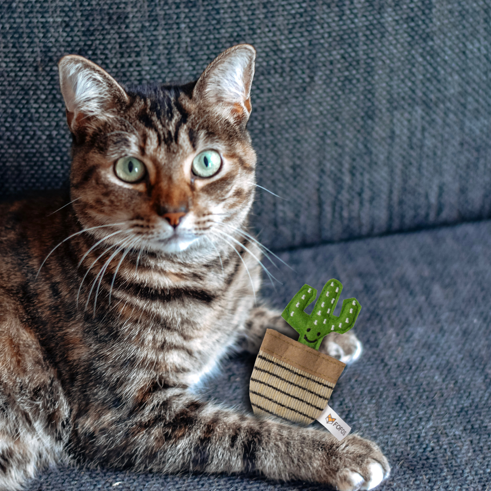 Fofos Green Cactus Toy for Cat