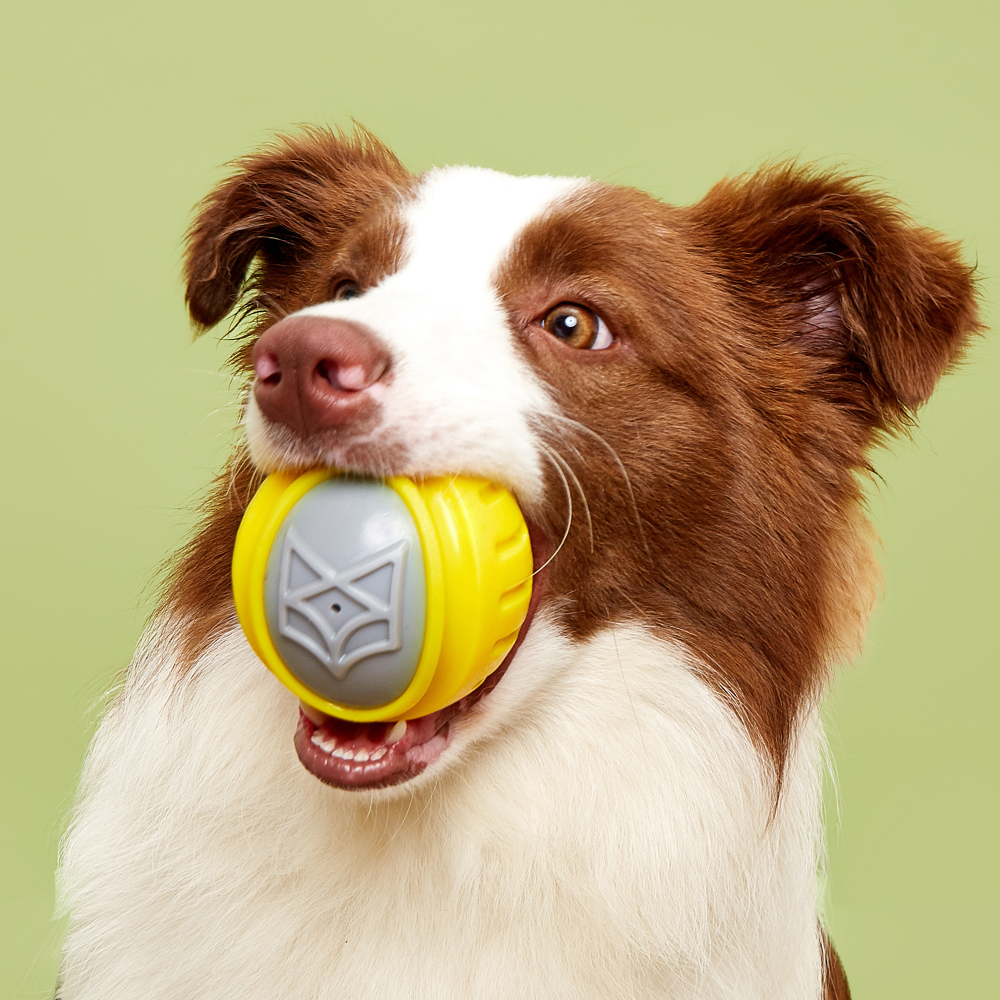Fofos Flexy Ball Ultra Bounce Toys for Dog