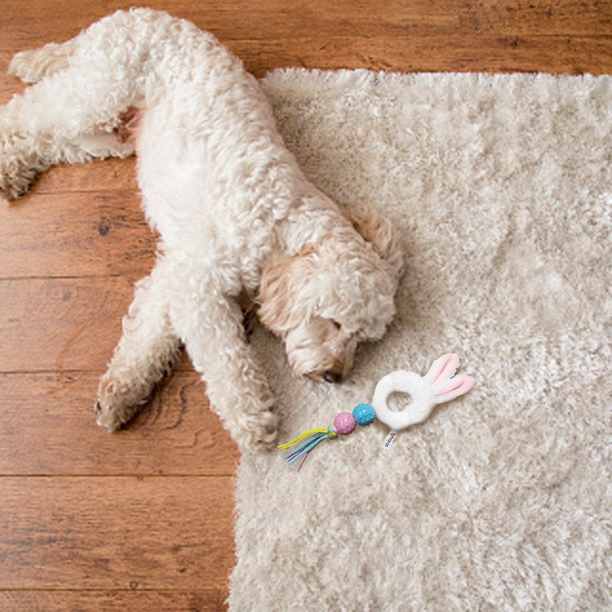 Fofos Baby Pet Rabbit Toy for Dogs