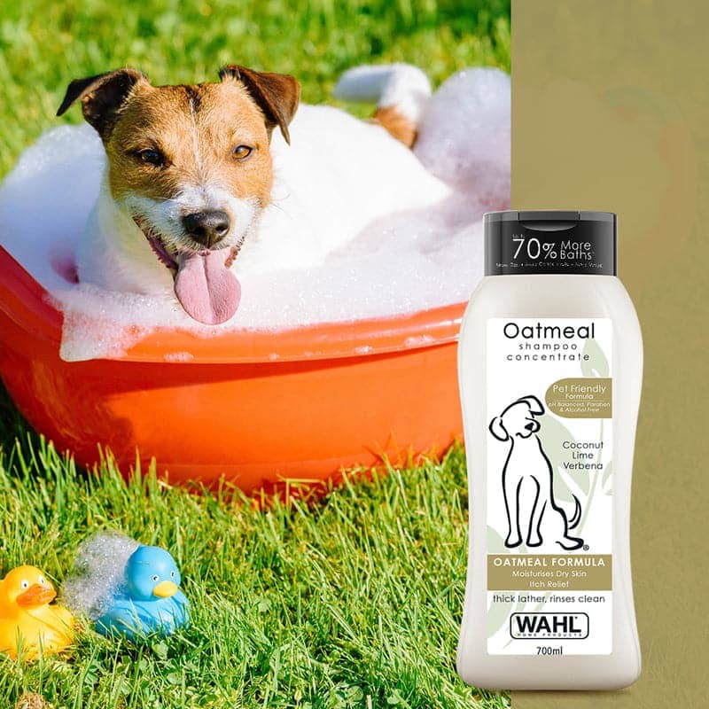 Wahl Oatmeal Coconut Lime Verbana Shampoo for Dogs (Pack of 3)