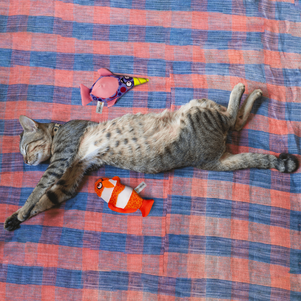 Fofos Summer Sperm Whales with Clown Fish Toy for Cats