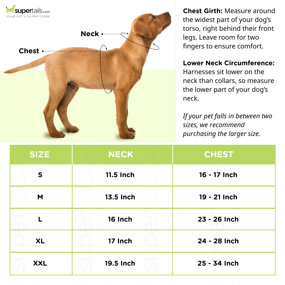 Emily Pets Elizabeth Collar for Dogs