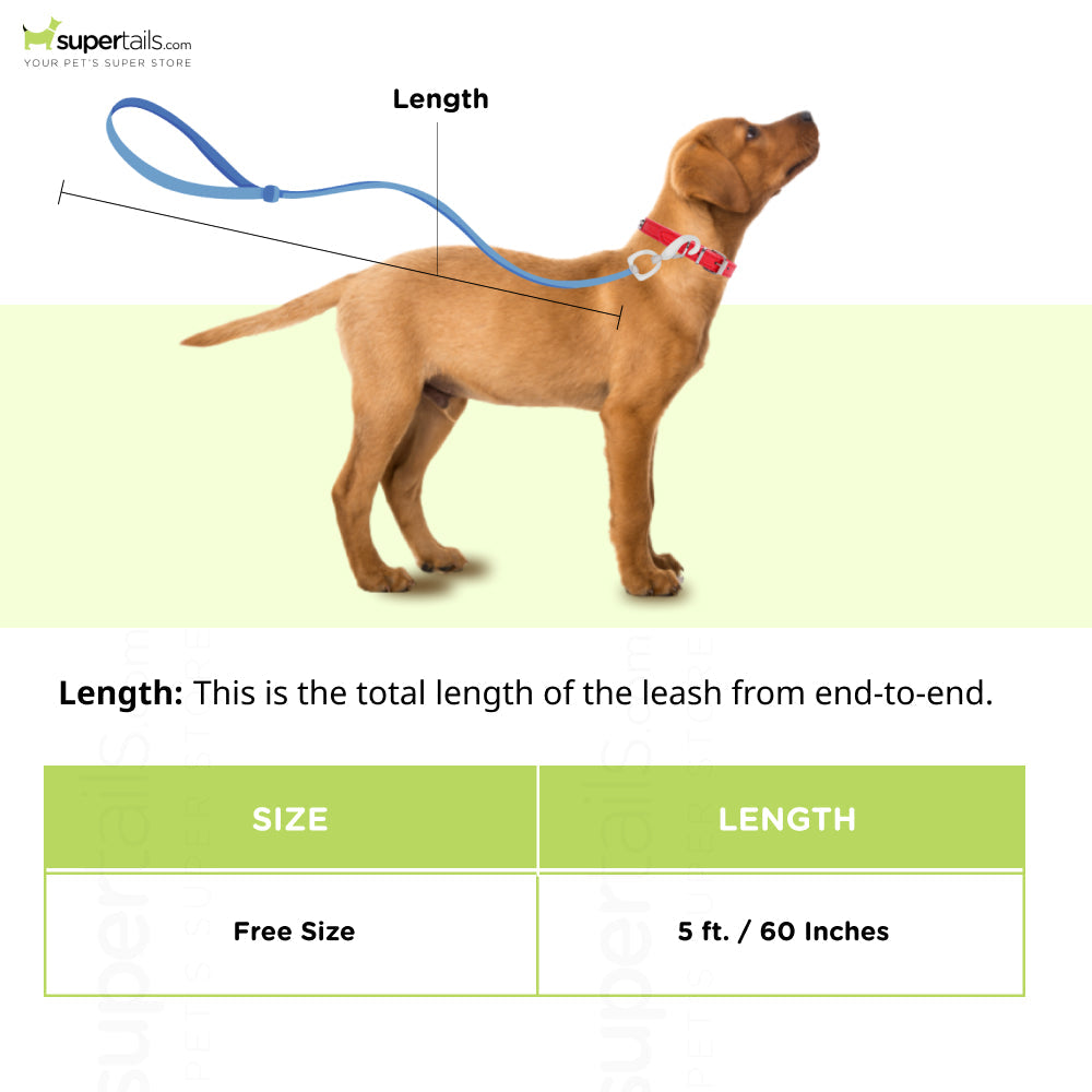 Pet And Parents (Namaste Pets) Fresh Fruit Leash for Dogs