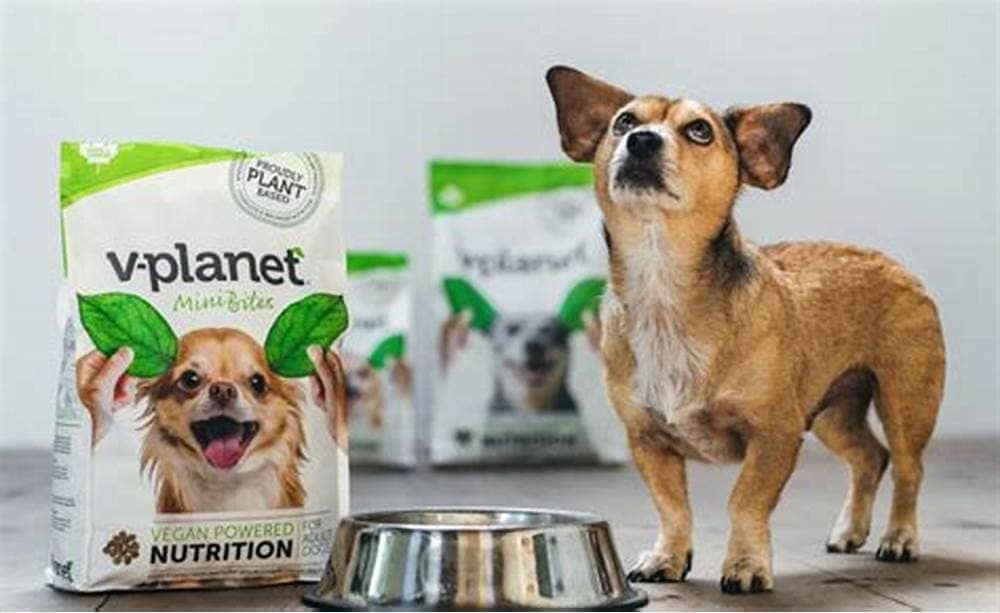 V-Planet Mini Bites Kibble for Small & Mini Breeds Dog Dry Food