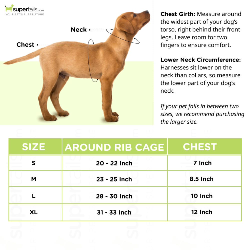 Pets Like Mobility & Rehabilitation Support for Dogs (Assorted)