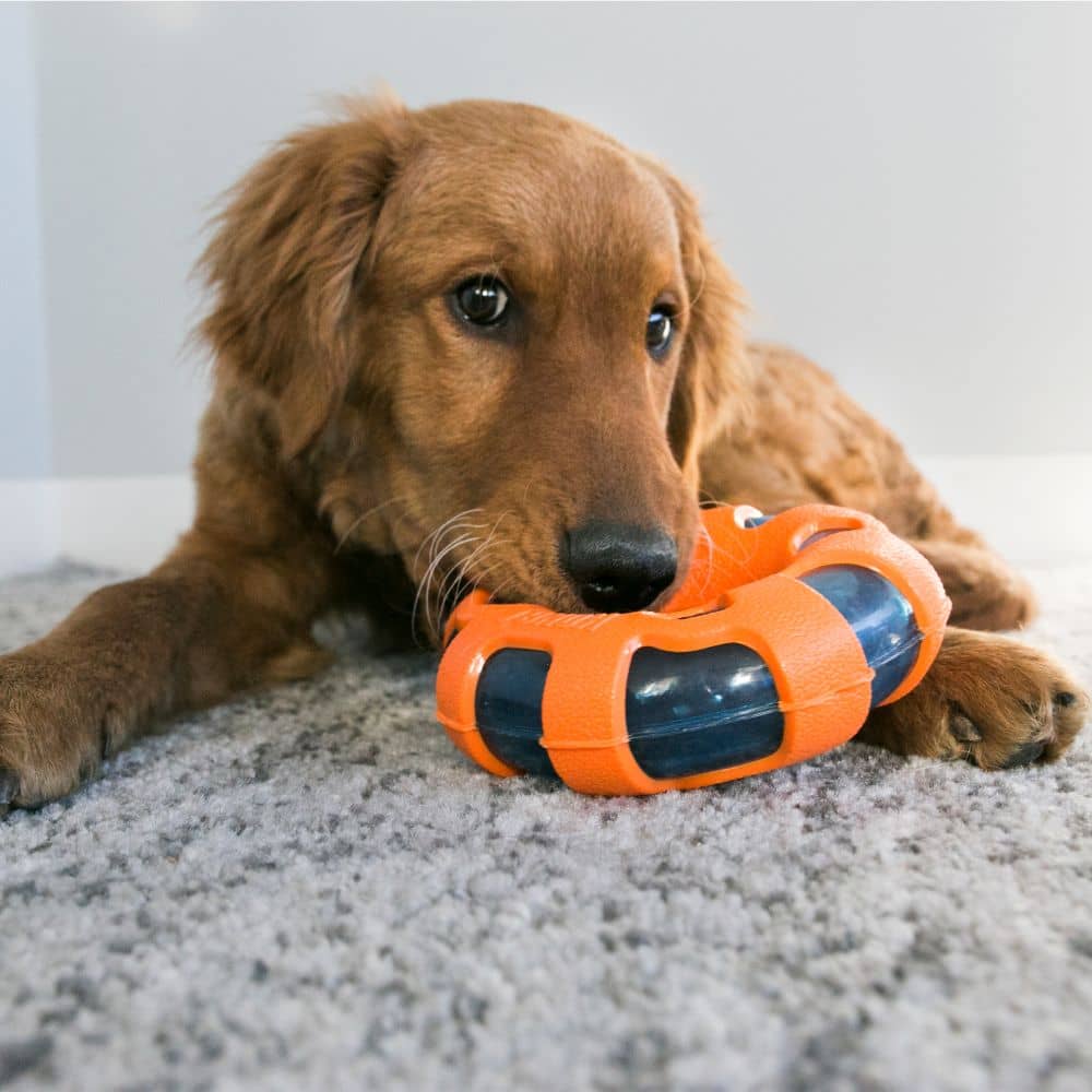 Kong Wrapz Ring Toy for Dogs