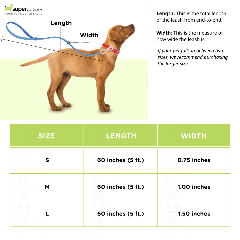 PetWale Rainbow Pride Padded Handle Leash for Dogs (Multicolour)
