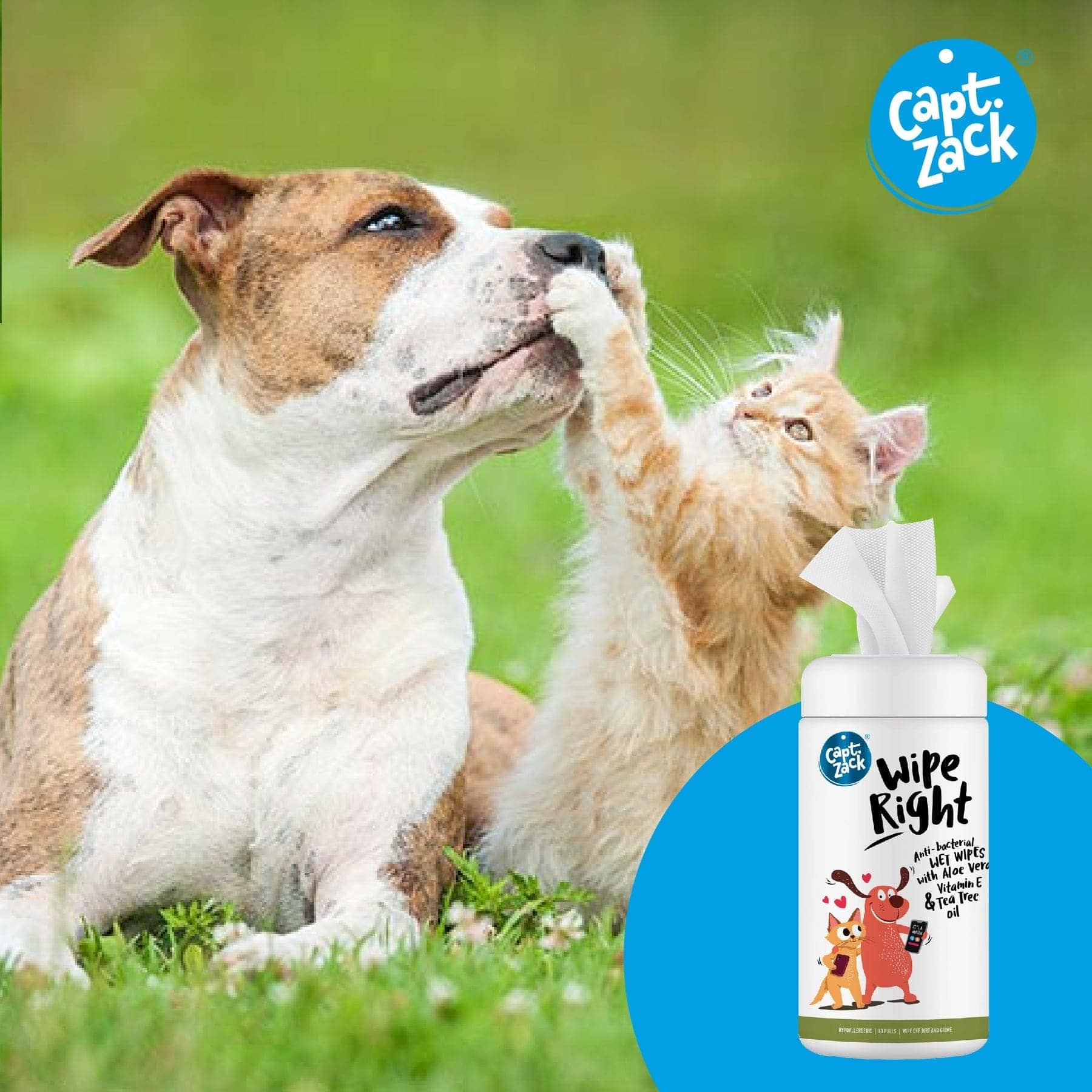 Captain Zack Wipe Right Anti- Bacterial Pet Wipes for Dogs