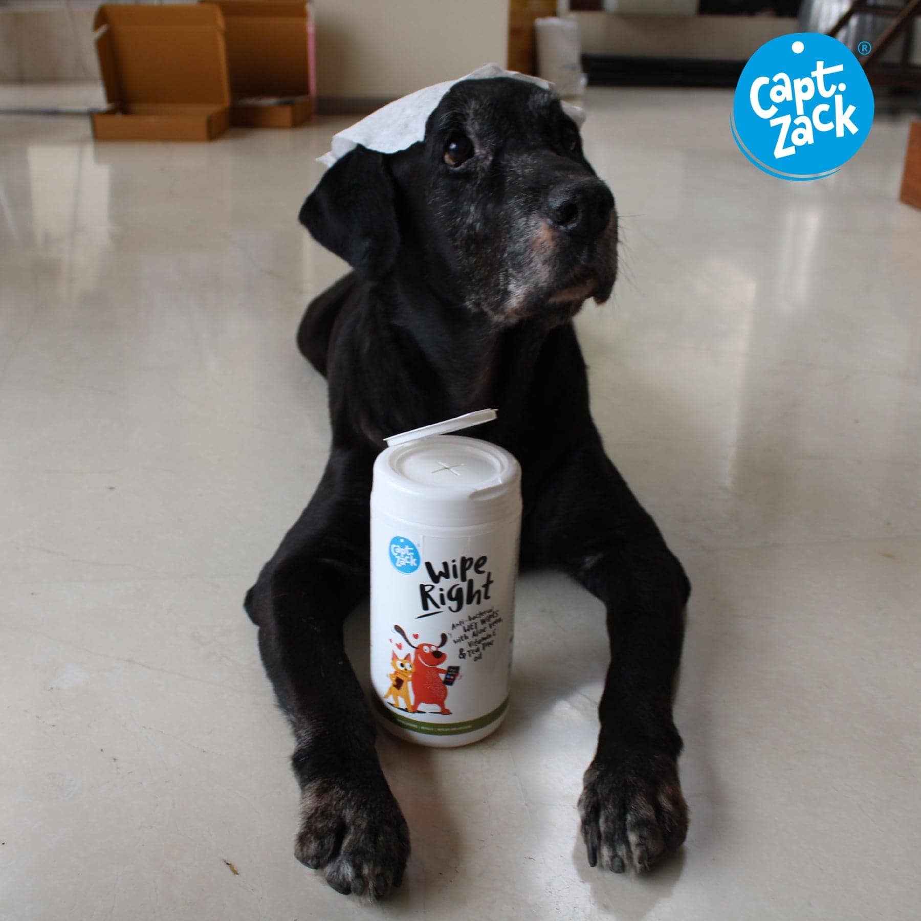 Captain Zack Wipe Right Anti- Bacterial Pet Wipes for Dogs