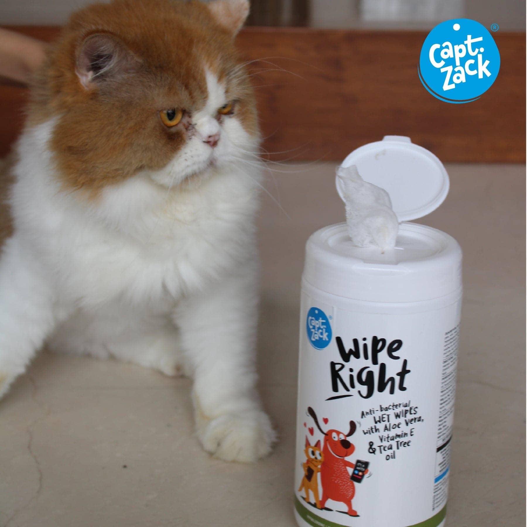 Captain Zack Wipe Right Anti- Bacterial Pet Wipes for Dogs