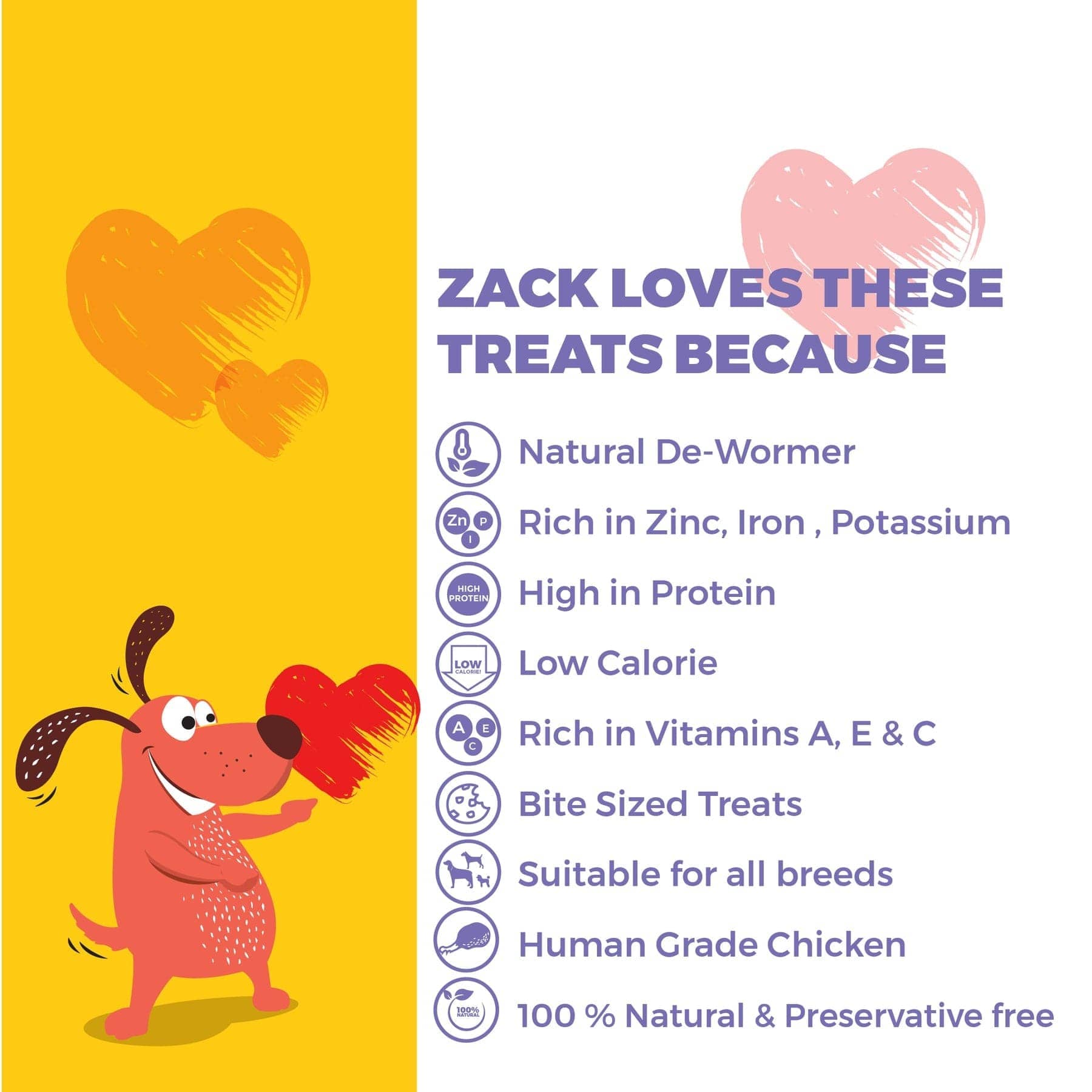 Captain Zack Pumpkin Prize Chicken & Pumpkin Jerky Treats