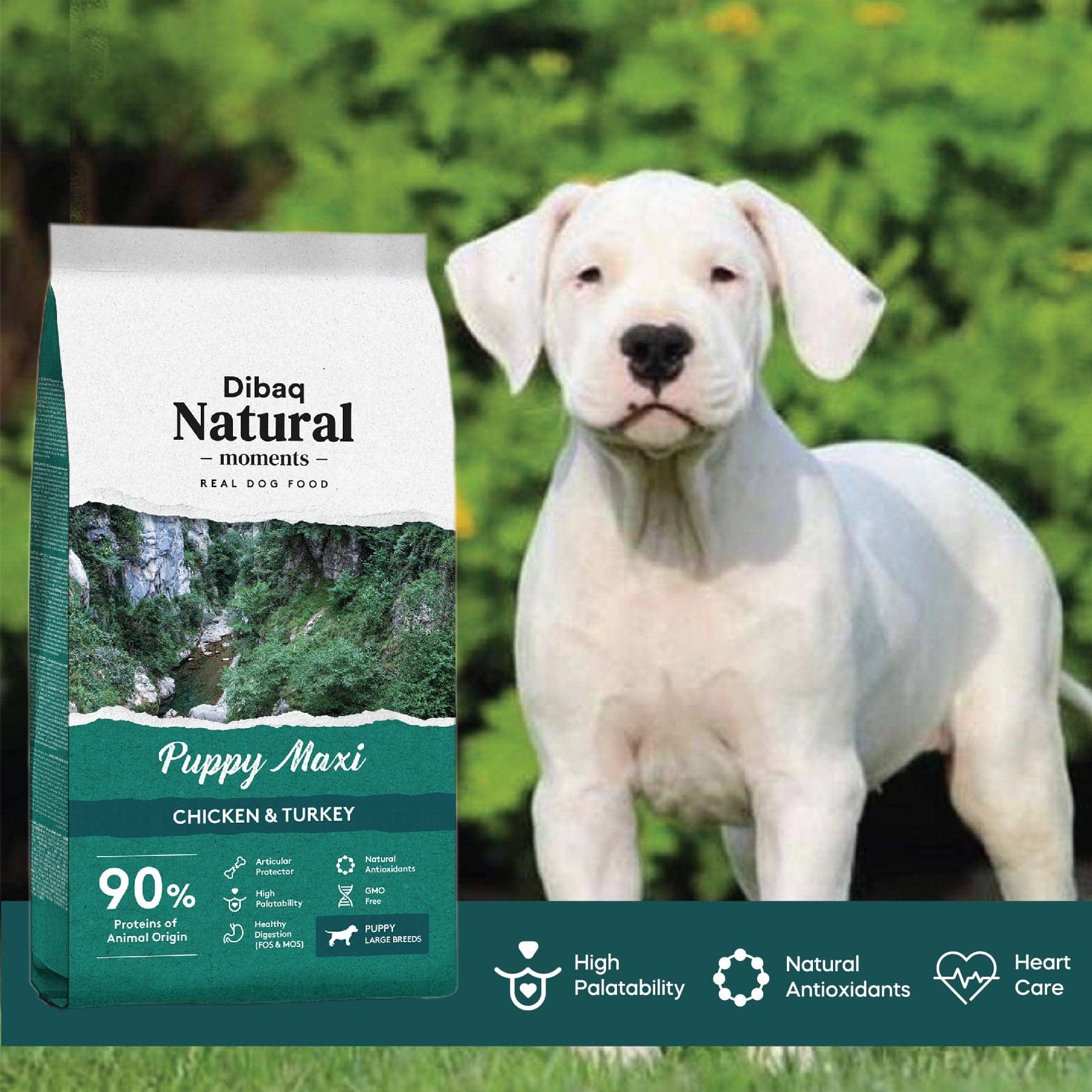 Dibaq Natural Moments Chicken & Turkey Maxi Puppy Dry Food