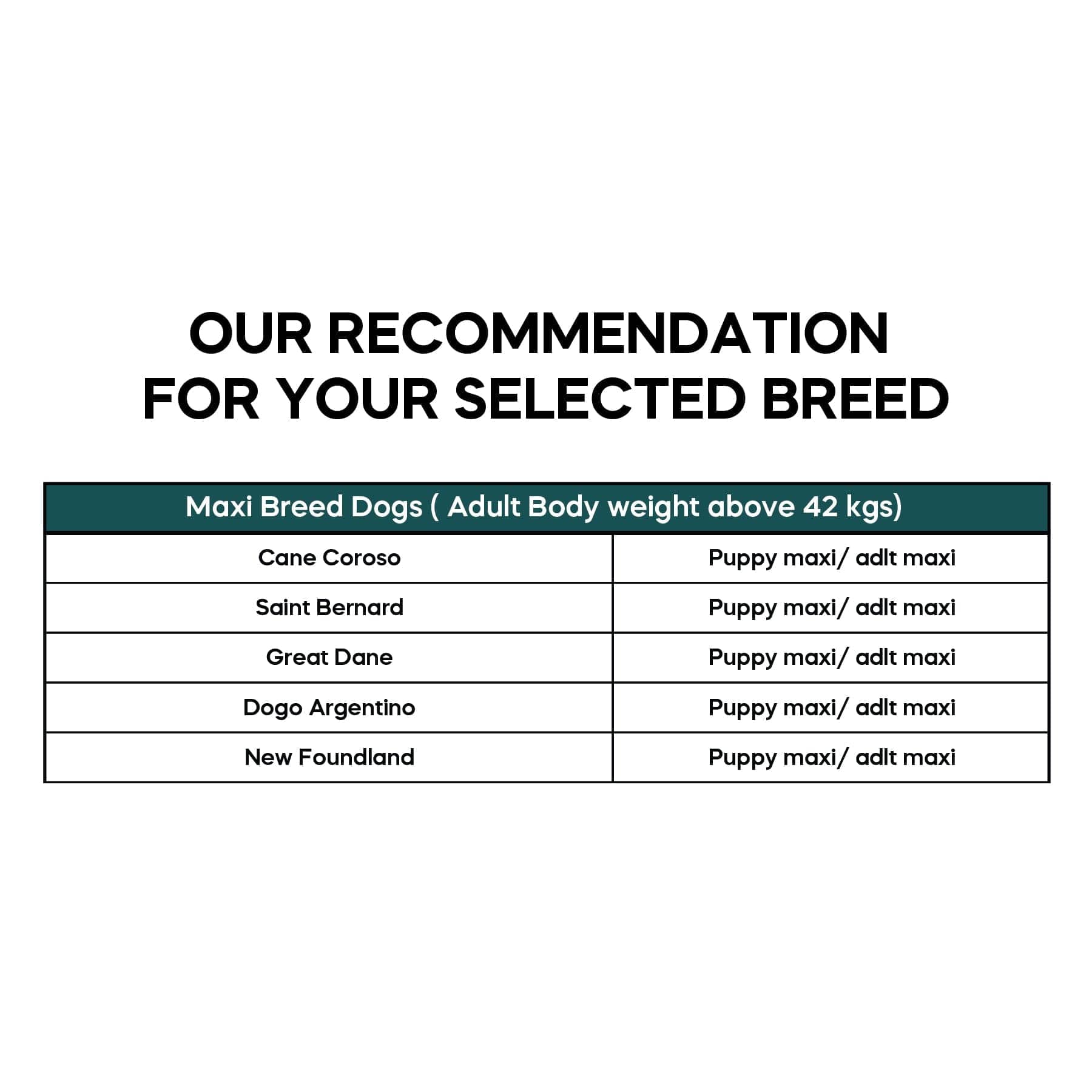Dibaq Natural Moments Chicken & Turkey Maxi Puppy Dry Food