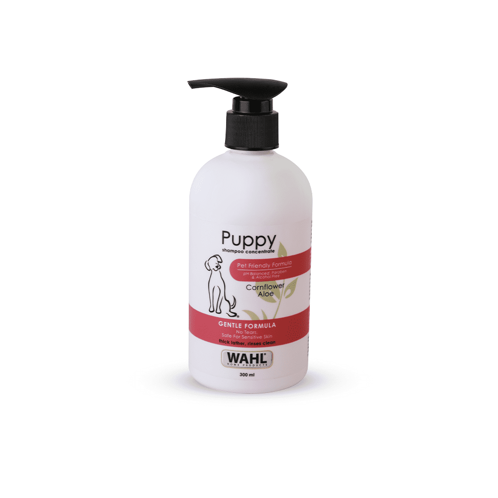 Wahl Puppy Cornflower Aloe Shampoo for Puppies (Pack of 3)