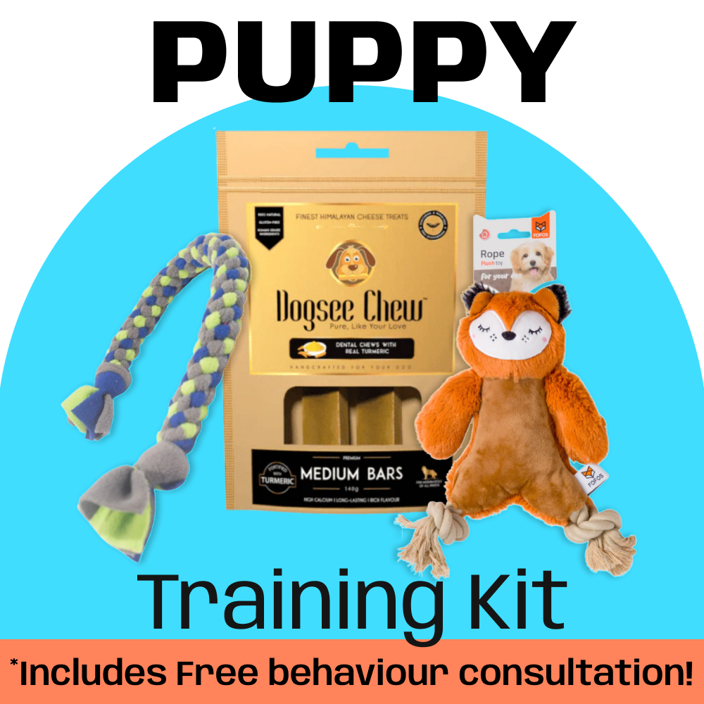 Puppy Biting Kit