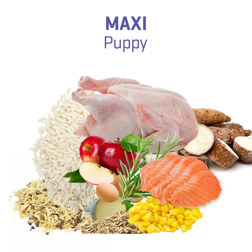 Dibaq Fitmin Maxi Puppy Dry Food