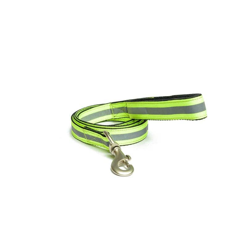 PetWale Nylon Leash for Dogs (Reflective Green)