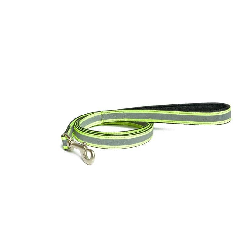 PetWale Nylon Leash for Dogs (Reflective Green)