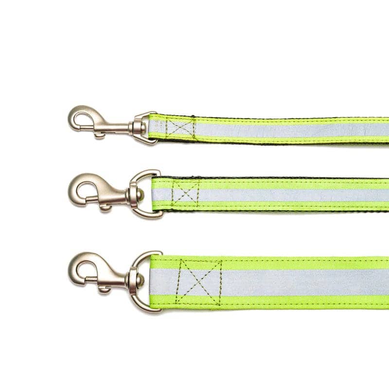 PetWale Nylon Leash for Dogs (Reflective Green)