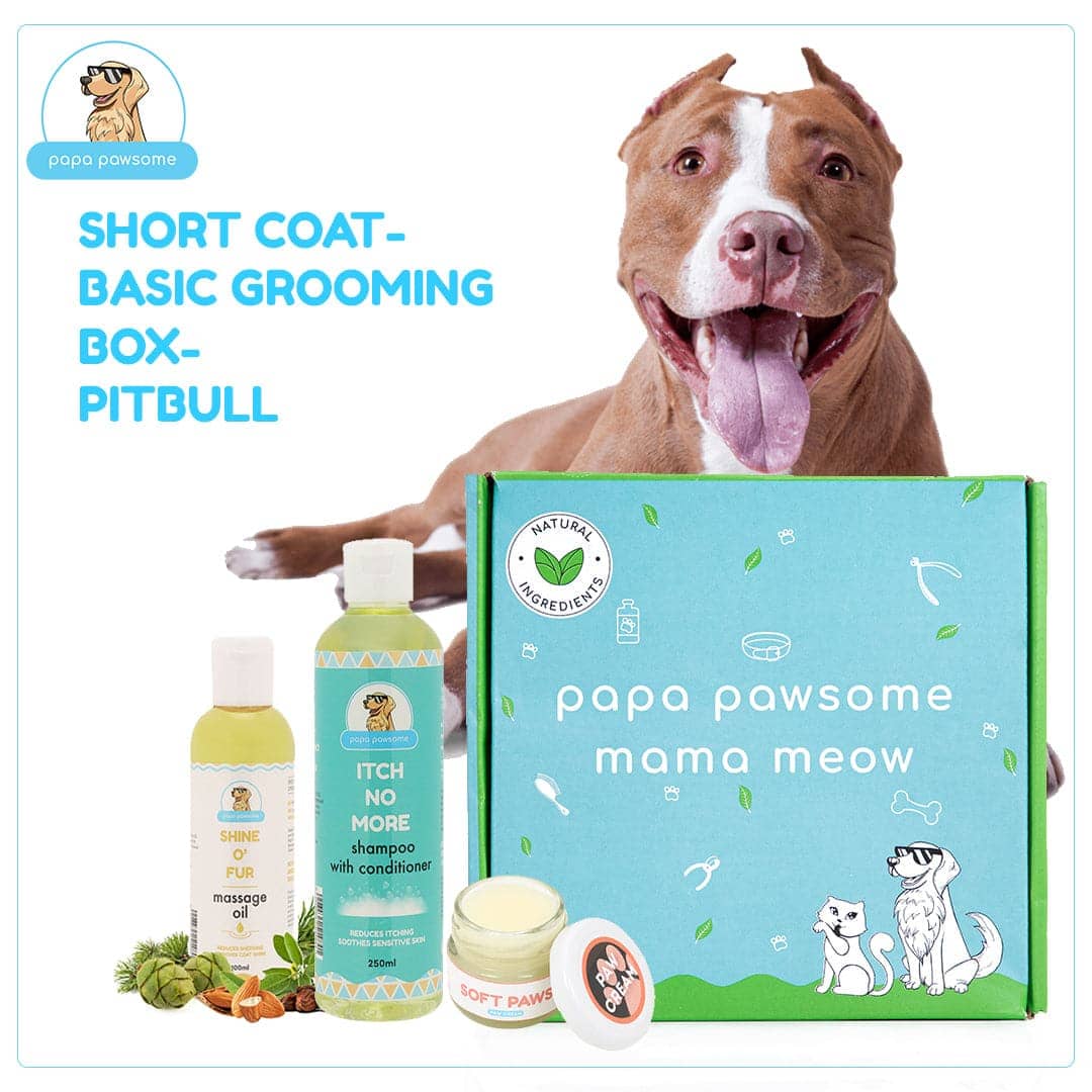 Papa Pawsome Short Coat Basic Grooming Kit (Pitbull)