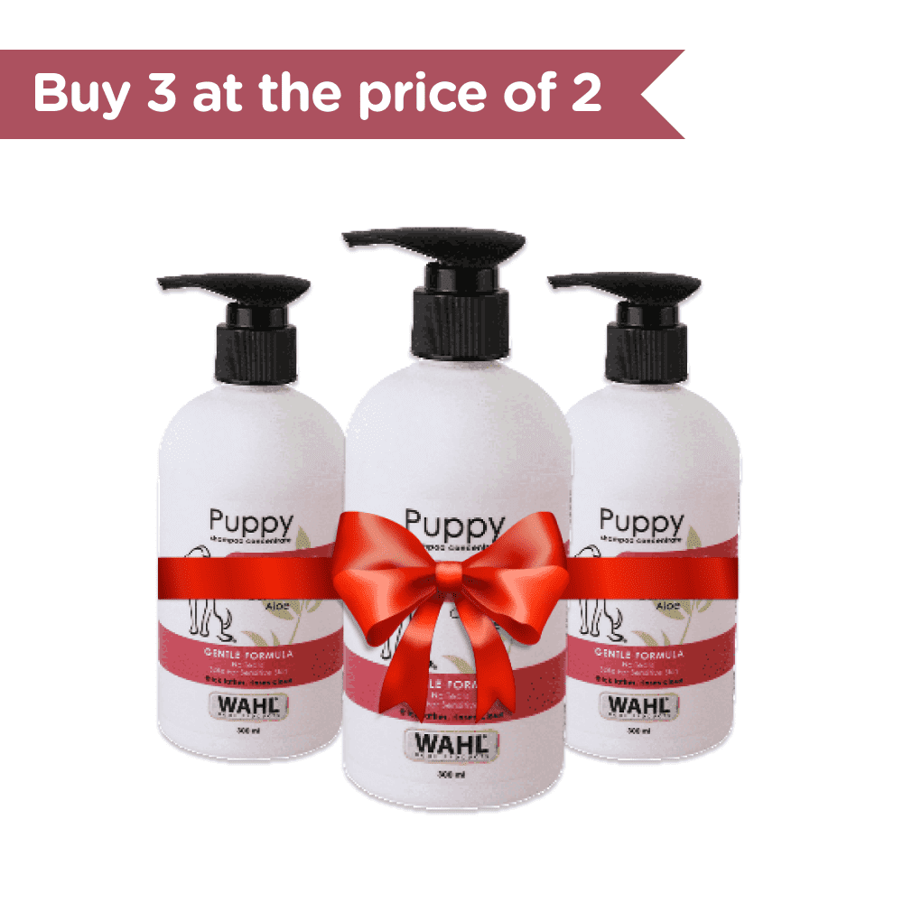 Wahl Puppy Cornflower Aloe Shampoo for Puppies (Pack of 3)