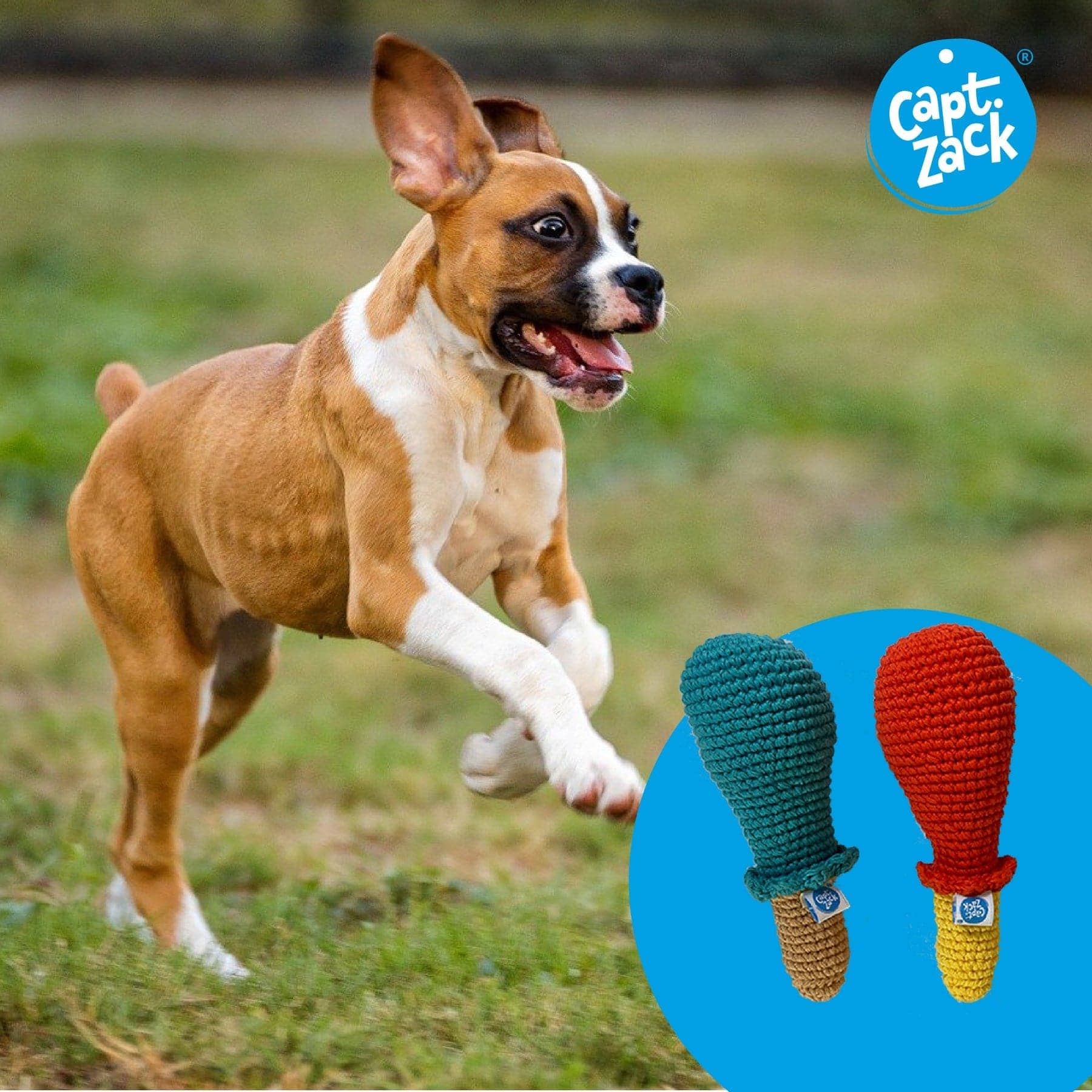 Captain Zack Crochet Chicken Drumstick Toy for Dogs