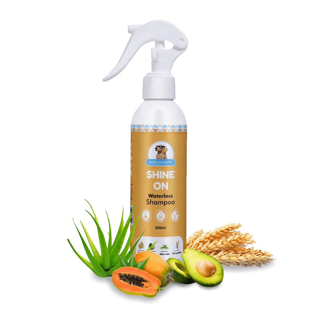 Papa Pawsome Short Smooth Coat Easy Peasy Grooming Kit (Corgi)