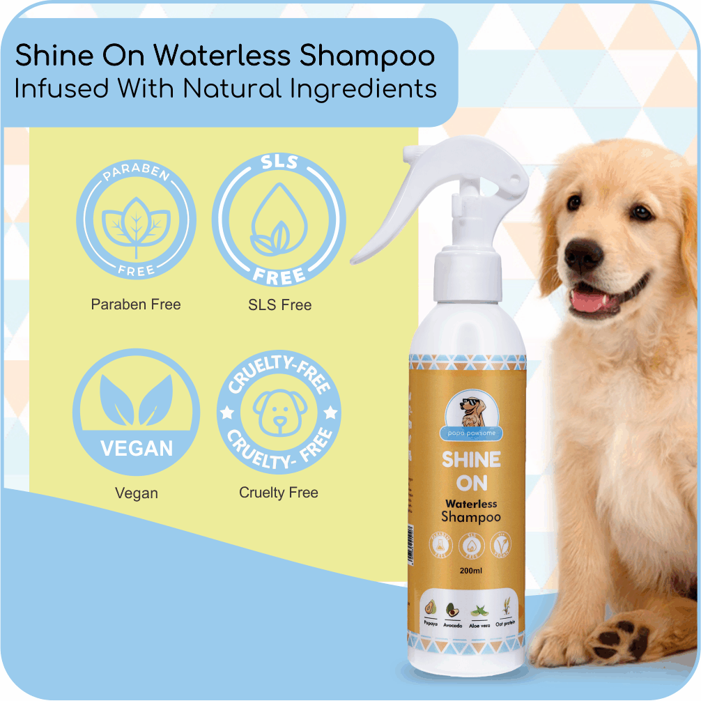 Papa Pawsome Short Smooth Coat Easy Peasy Grooming Kit (Corgi)