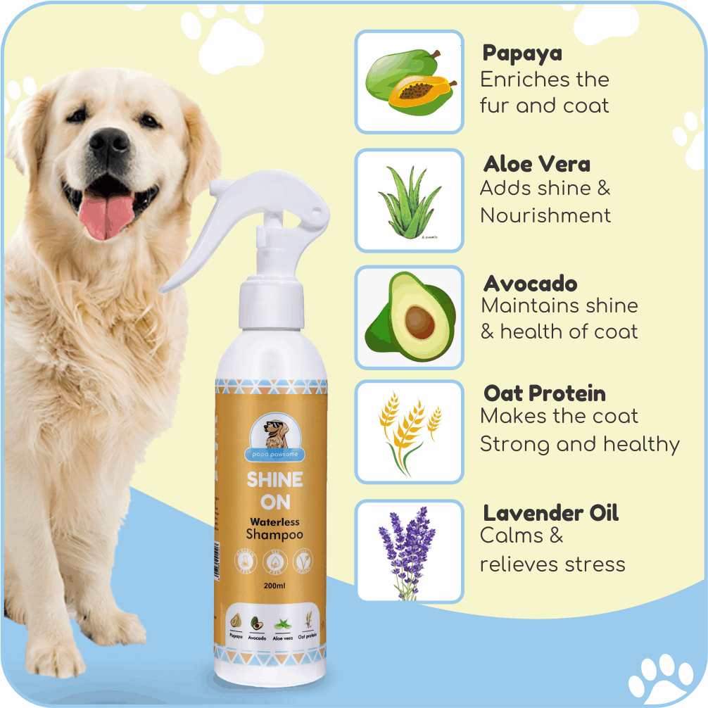 Papa Pawsome Short Smooth Coat Easy Peasy Grooming Kit (Corgi)