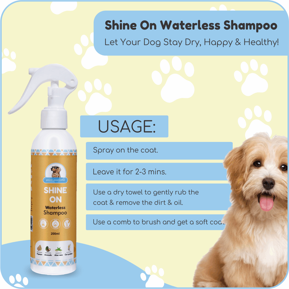 Papa Pawsome Short Smooth Coat Easy Peasy Grooming Kit (Corgi)