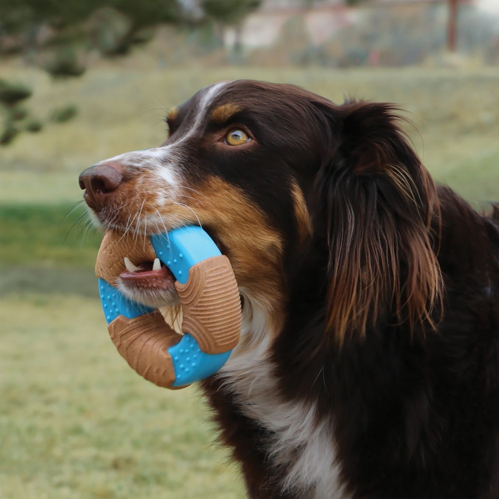 Kong Corestrength Bamboo Ring Toy for Dogs