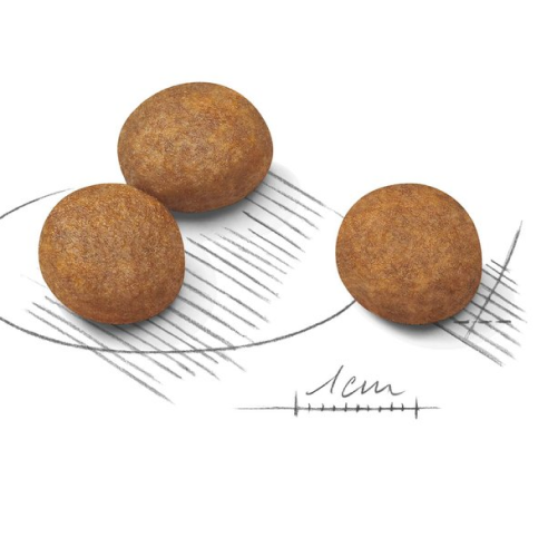 Royal Canin Maxi Puppy Dog Dry Food