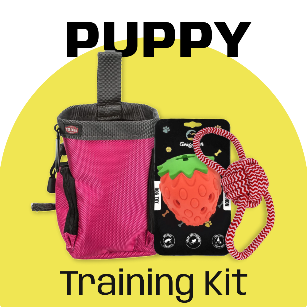 Puppy Biting Kit