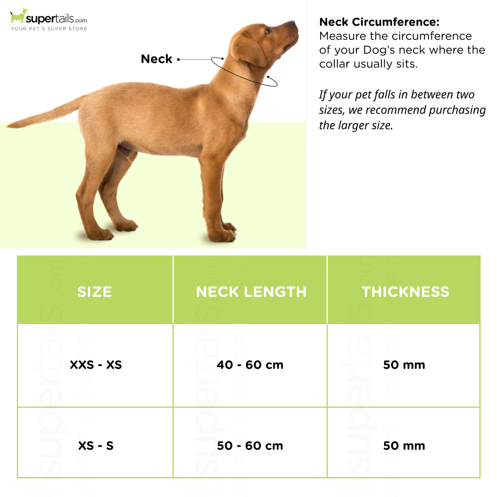 Trixie Premium Collar for Dogs (Caramel)