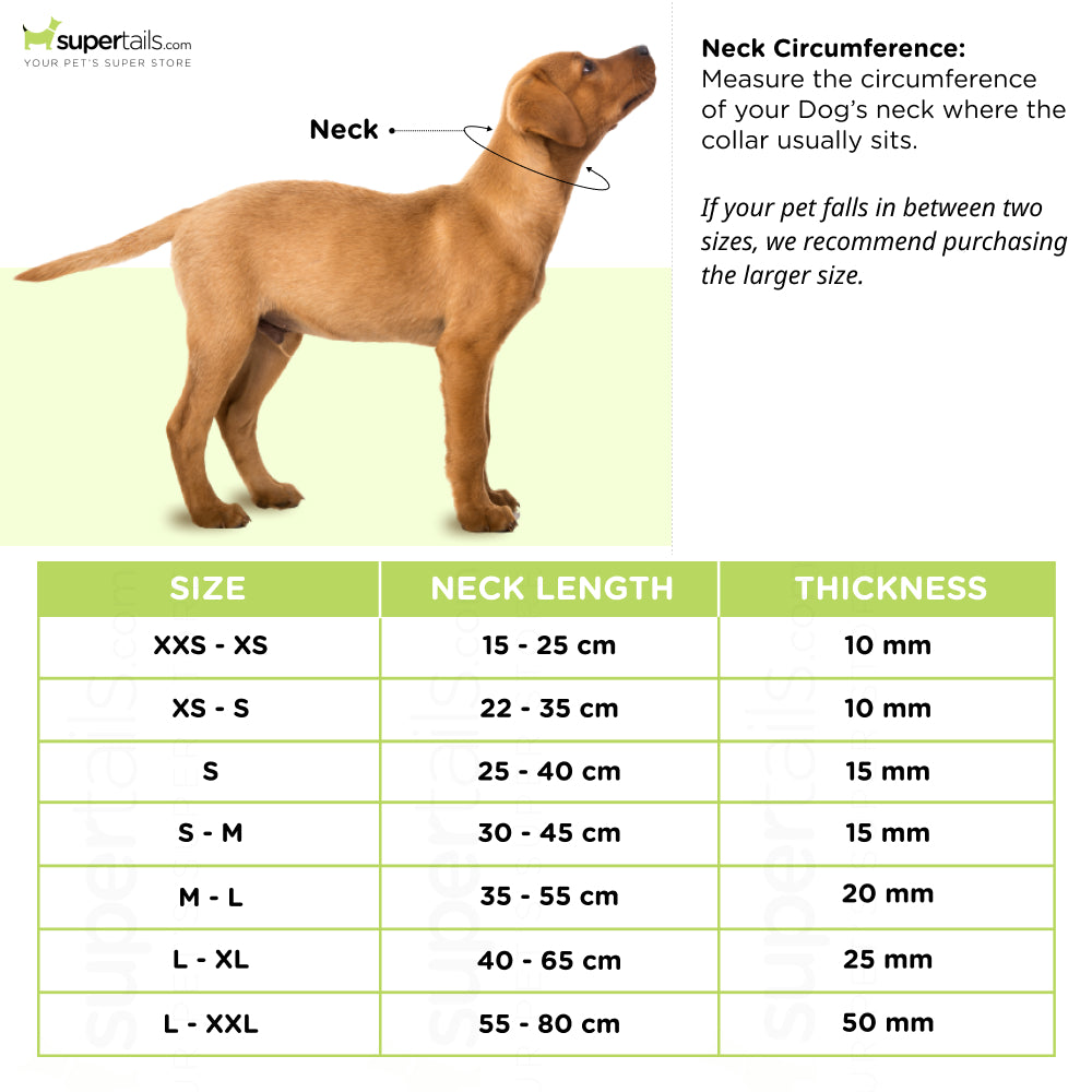 Trixie Premium Collar for Dogs (Papaya)