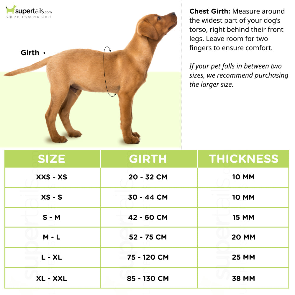 Trixie Premium H-Harness for Dogs (Violet)
