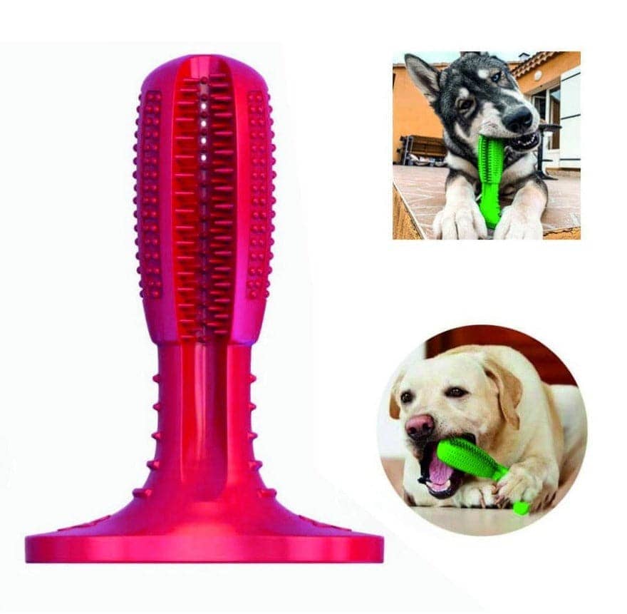 Pawsindia Dental Toy for Dogs