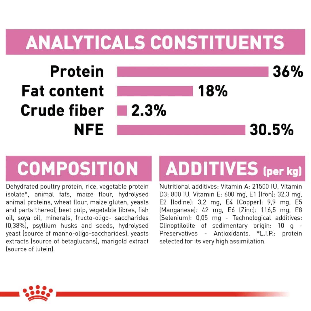 Royal Canin Kitten Dry Food (Sample)