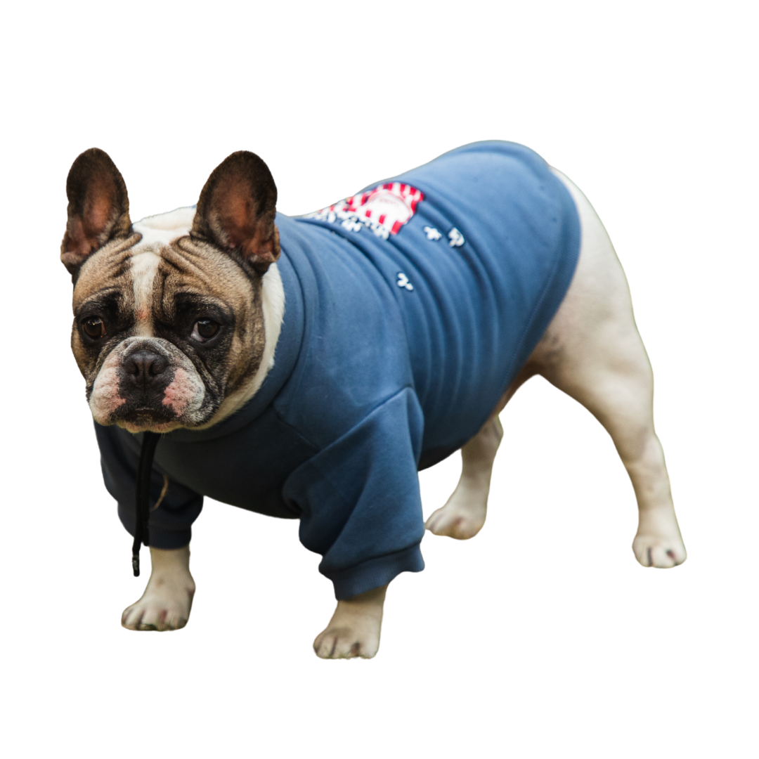 Pet Snugs Popcorn Print Sweatshirt For Dogs (Sky Blue)
