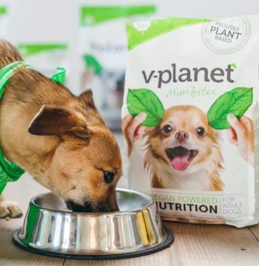 V-Planet Mini Bites Kibble for Small & Mini Breeds Dog Dry Food