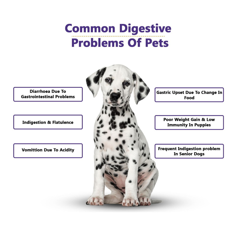 Petvit Pre & Probiotics Gut Health Powder for Pets