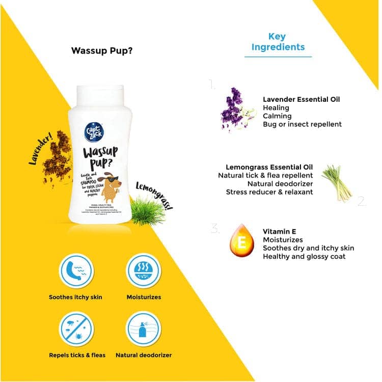 Captain Zack Wassup Pup? Sulphate Free Shampoo for Dogs